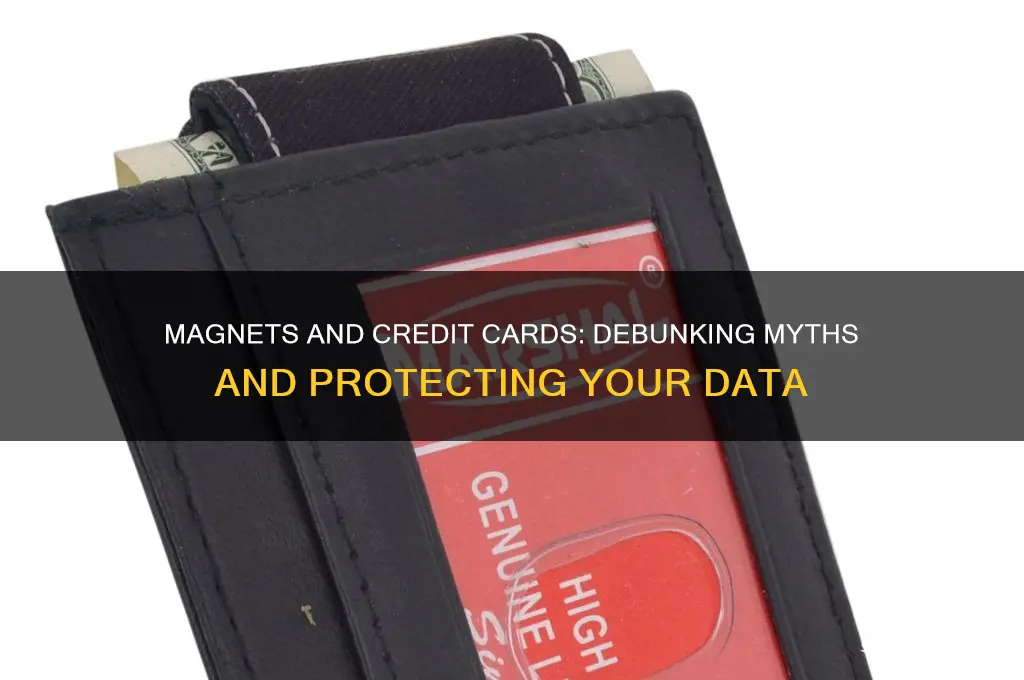 can magnets affect your credit cards