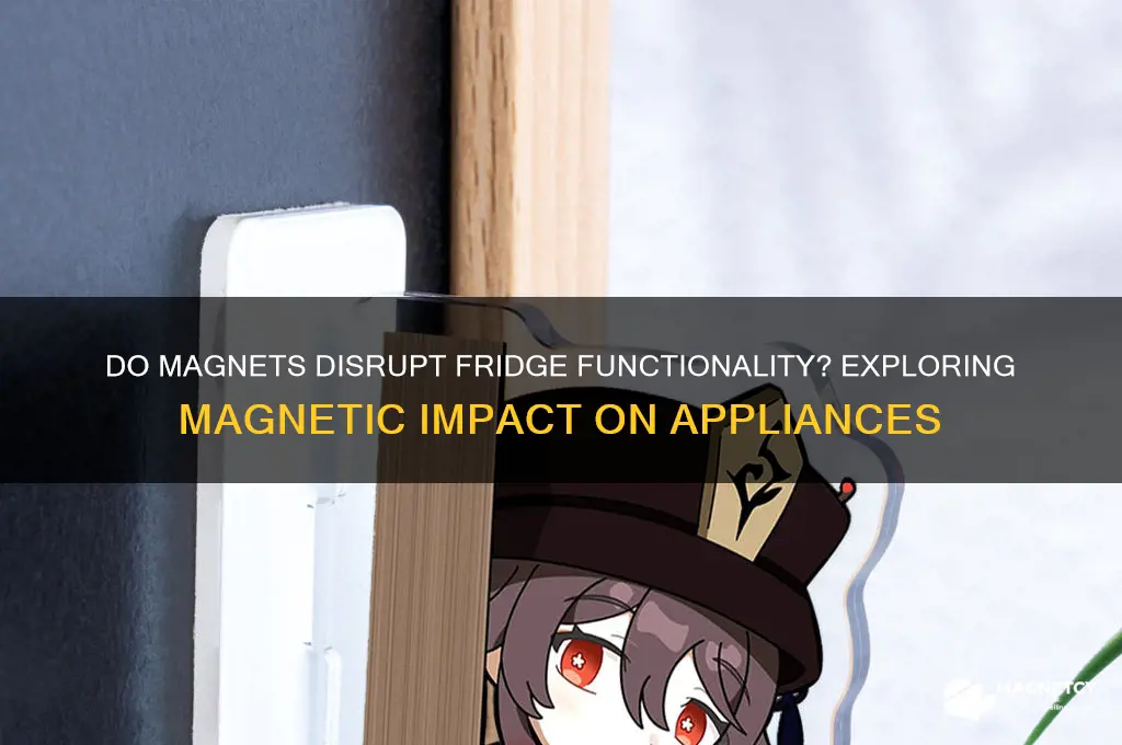 can magnets affect your fridge