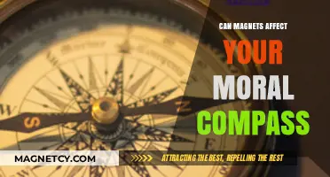 Magnetic Influence: Can Magnets Alter Your Moral Compass?