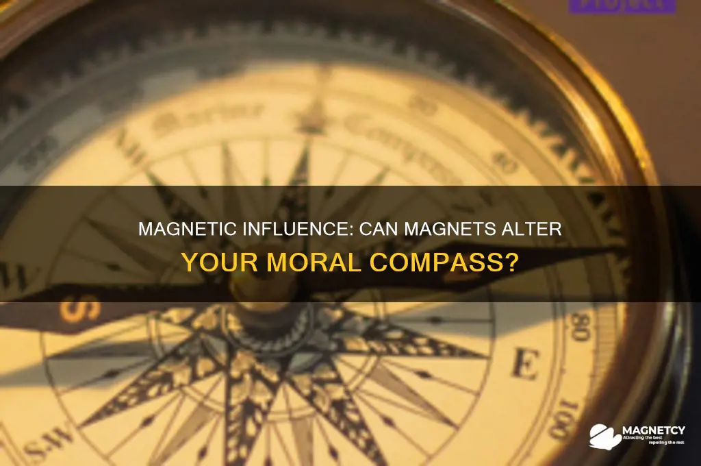 can magnets affect your moral compass