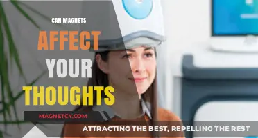 Magnetic Influence: Exploring the Mind-Bending Connection Between Magnets and Thoughts