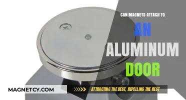 Can Magnets Stick to Aluminum Doors? Surprising Facts Revealed