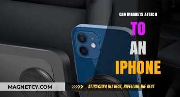 Can Magnets Stick to iPhones? Exploring Compatibility and Safety Tips