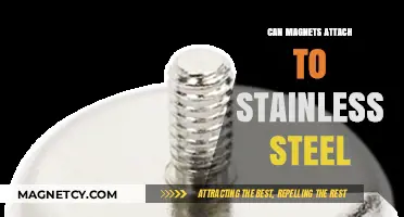 Can Magnets Stick to Stainless Steel? Unraveling the Magnetic Mystery