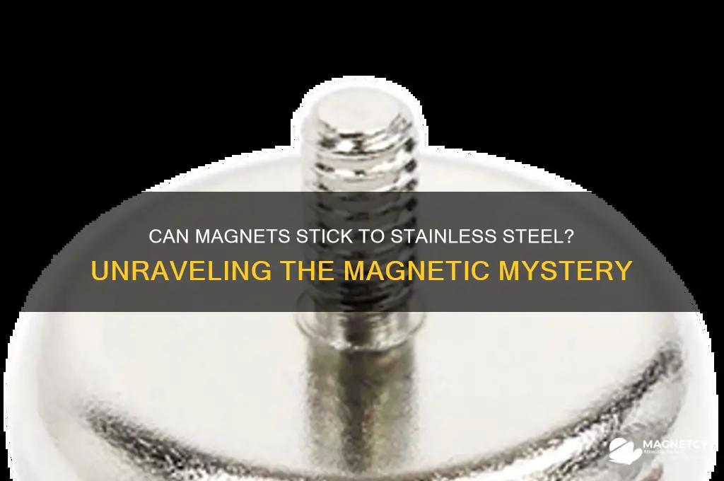 can magnets attach to stainless steel