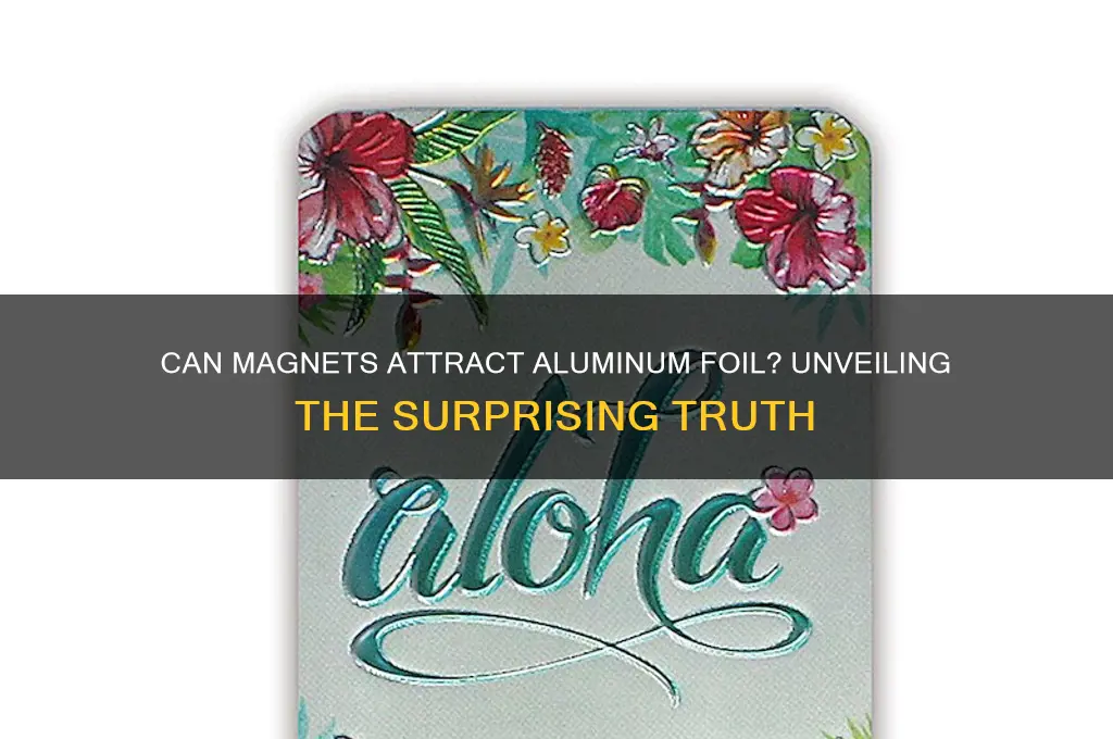 can magnets attract aluminum foil