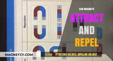 Magnetic Forces: Understanding Attraction and Repulsion in Everyday Life