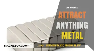 Do Magnets Attract All Metals? Unveiling the Magnetic Truth