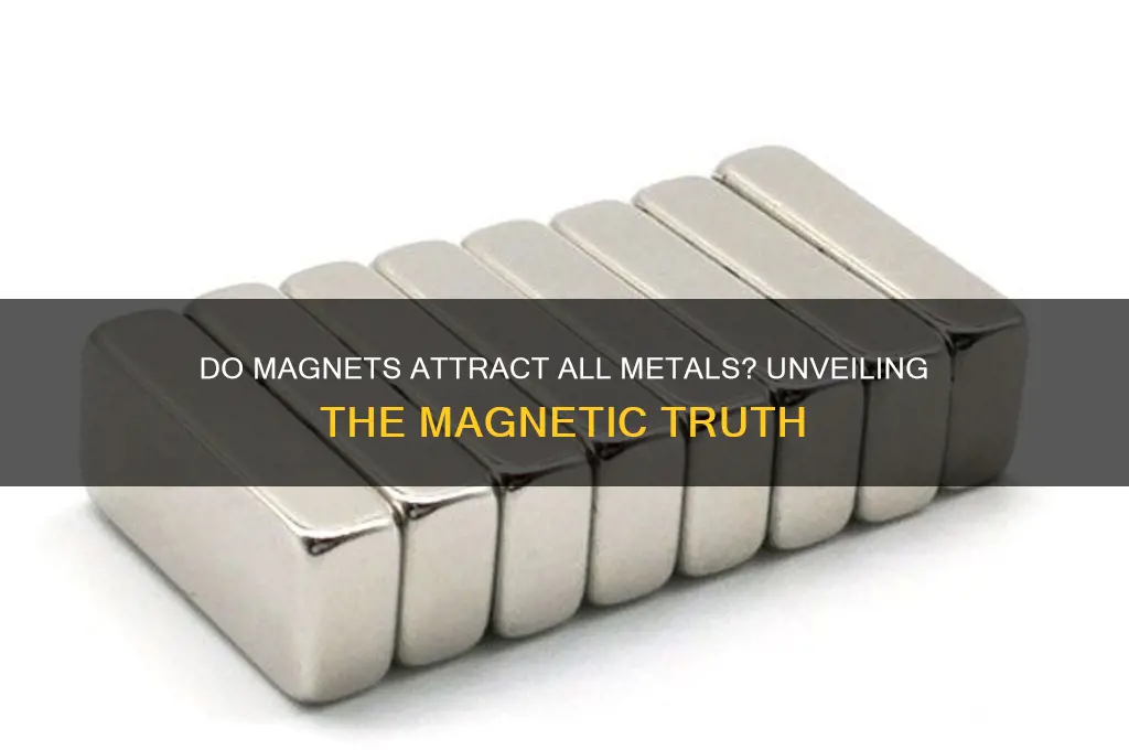 can magnets attract anything metal