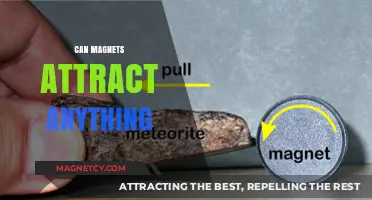 Can Magnets Attract Anything? Unveiling the Surprising Truth Behind Magnetic Forces