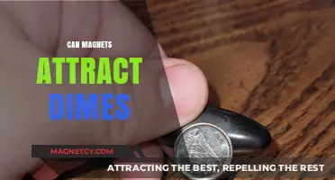 Do Magnets Attract Dimes? Exploring the Science Behind Metal Currency