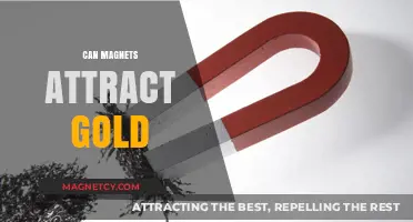 Can Magnets Attract Gold? Unveiling the Truth Behind the Myth