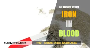 Can Magnets Attract Iron in Blood? Unraveling the Science Behind It