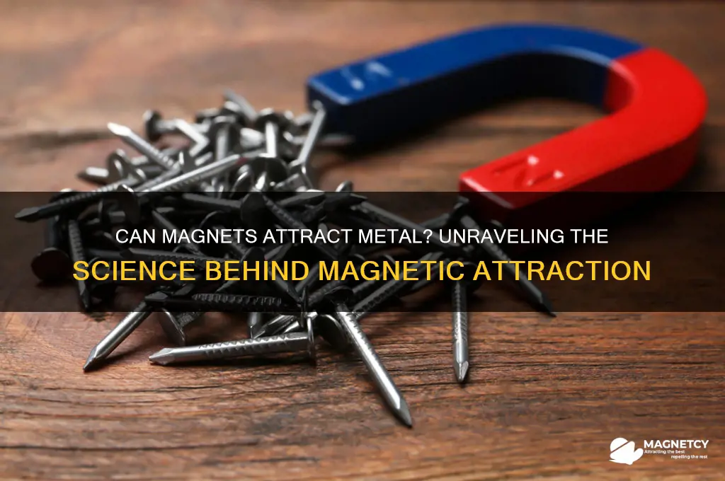 can magnets attract medal