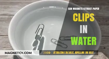 Do Magnets Attract Paper Clips Underwater? Surprising Science Explained