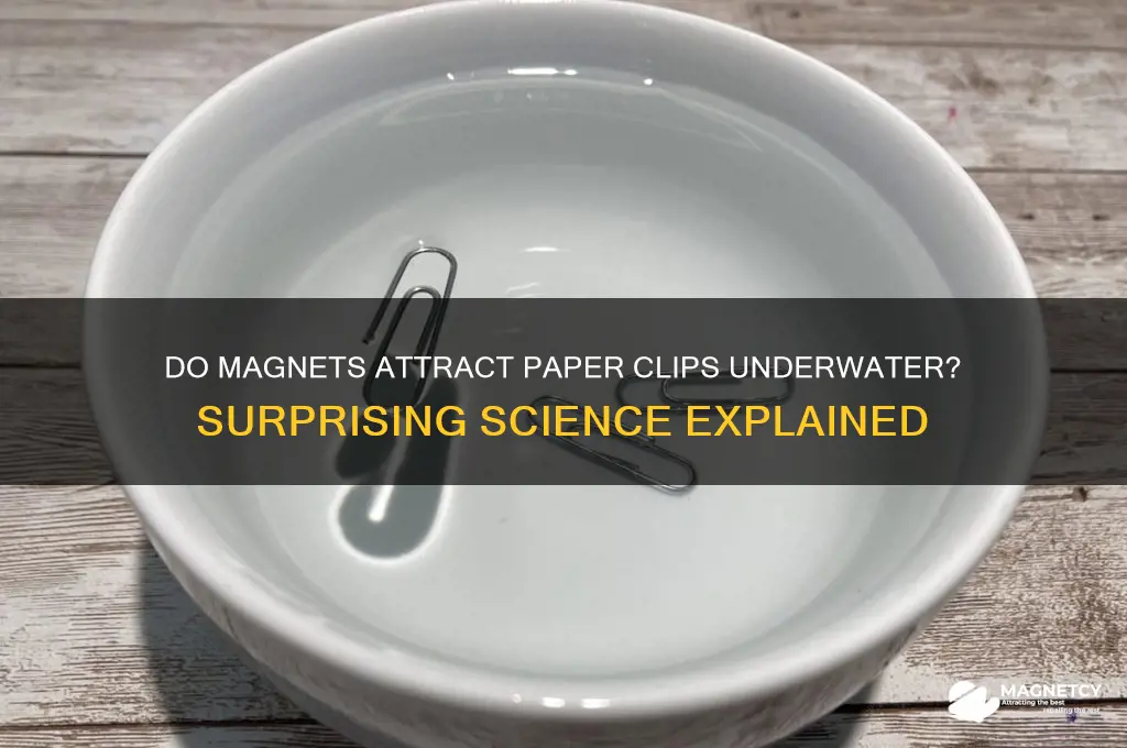 can magnets attract paper clips in water