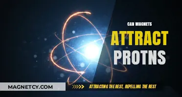 Can Magnets Attract Protons? Exploring Magnetic Forces on Subatomic Particles