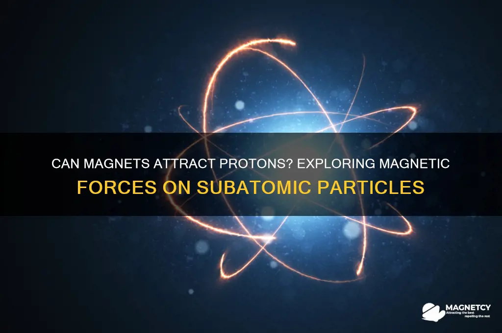 can magnets attract protns