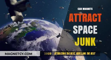 Magnets and Space Junk: Can Magnetic Forces Clean Up Orbit?