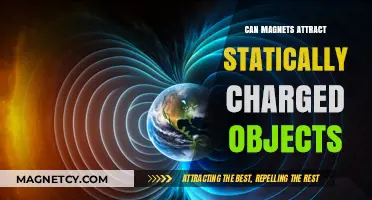 Magnets vs. Static Charge: Can They Attract Each Other?