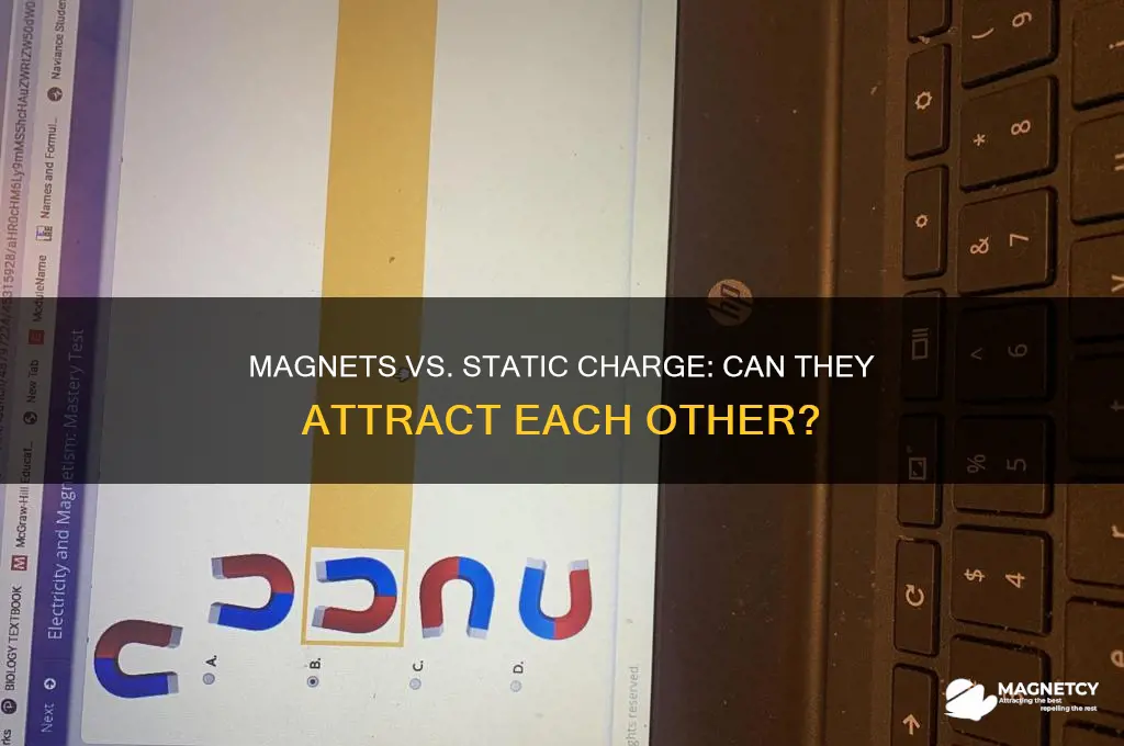 can magnets attract statically charged objects