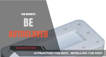 Autoclaving Magnets: Safety, Risks, and Best Practices Explained