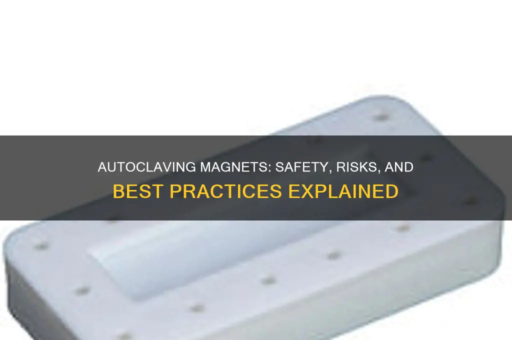 can magnets be autoclaved