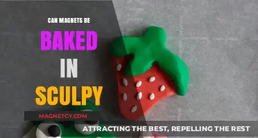 Baking Magnets in Sculpy: Safe Practice or Risky Experiment?