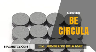 Exploring Circular Magnets: Shapes, Uses, and Manufacturing Insights