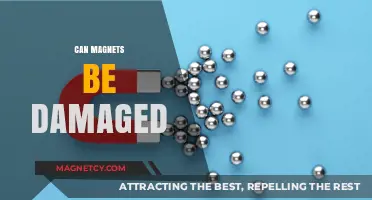 Can Magnets Be Damaged? Understanding Magnet Durability and Weakening Factors
