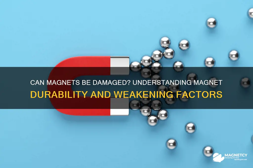 can magnets be damaged
