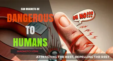 Magnetic Risks: Potential Dangers of Magnets to Human Health Explained