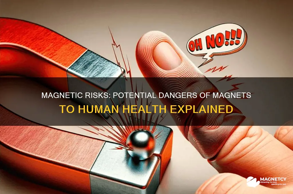 can magnets be dangerous to humans