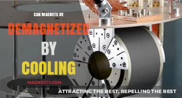 Cooling Magnets: Does Temperature Demagnetize Permanent Magnets?