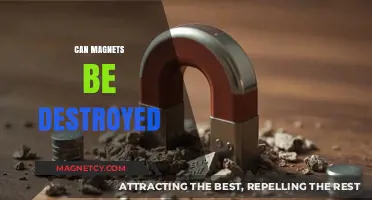 Can Magnets Be Destroyed? Exploring Their Durability and Limitations