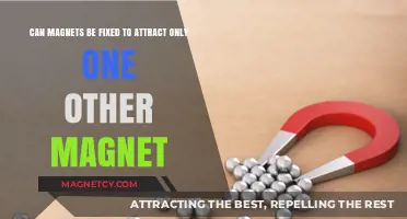 Can Magnets Be Programmed to Attract Only One Specific Magnet?
