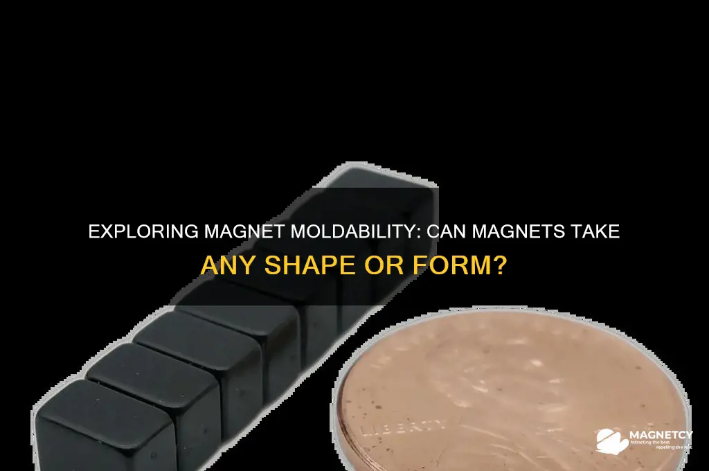 can magnets be form into any shape or form