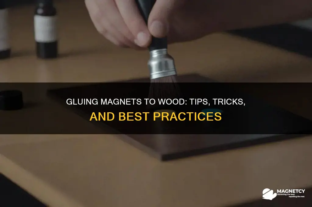 can magnets be glued to wood