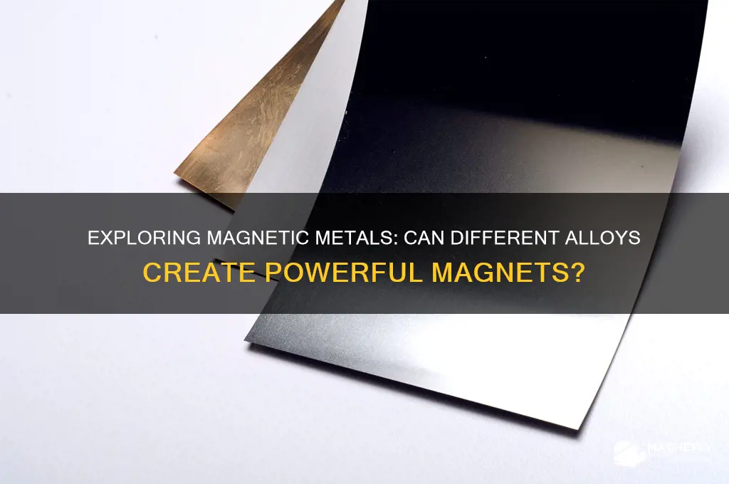 can magnets be made of different metals