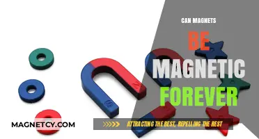 Do Magnets Last Forever? Exploring Permanent Magnetism's Enduring Mystery