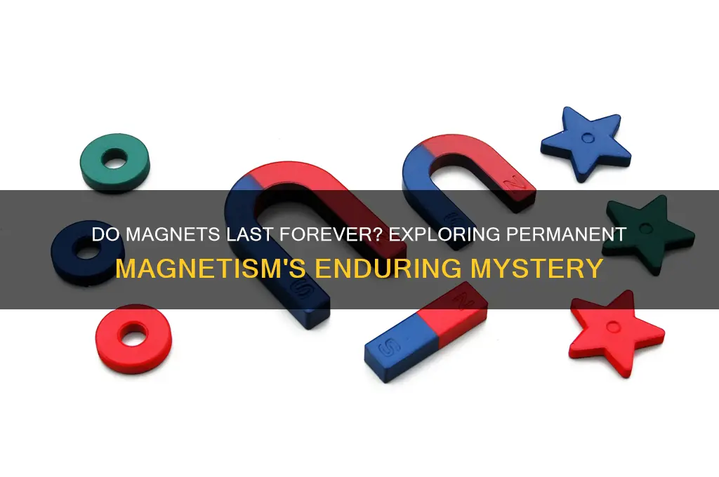 can magnets be magnetic forever