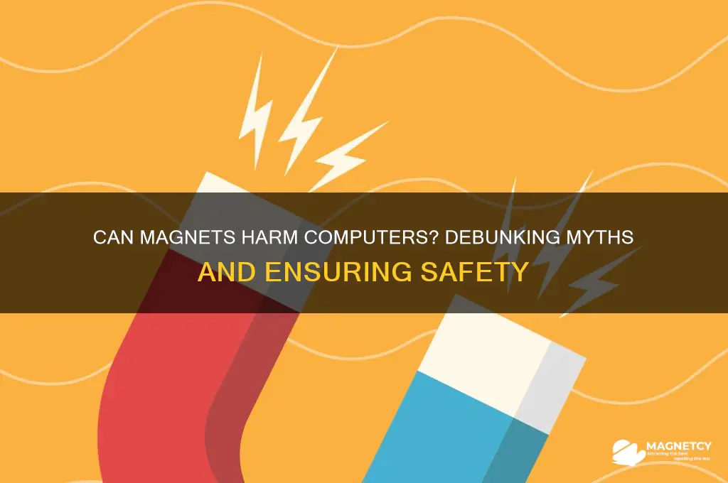can magnets be near computers