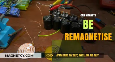 Reviving Magnetic Power: Can Magnets Be Remagnetized and How?
