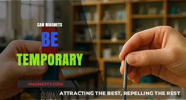Are Magnets Always Permanent? Exploring Temporary Magnetic Properties