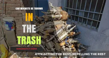 Can Magnets Go in the Trash? Eco-Friendly Disposal Tips