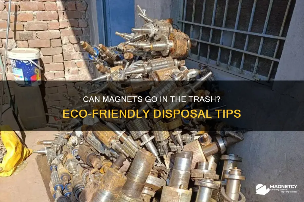 can magnets be thrown in the trash