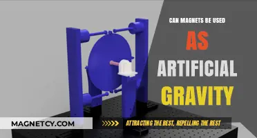 Magnets as Artificial Gravity: Exploring Feasibility for Space Travel