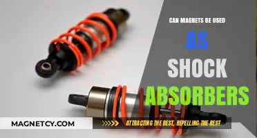 Magnetic Shock Absorbers: Innovative Potential or Practical Limitation?