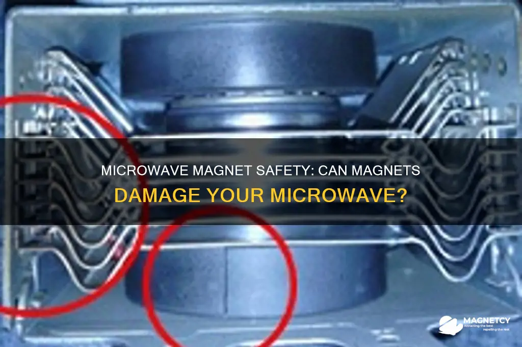 can magnets be used in a microwave