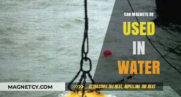 Using Magnets in Water: Applications, Safety, and Practical Insights